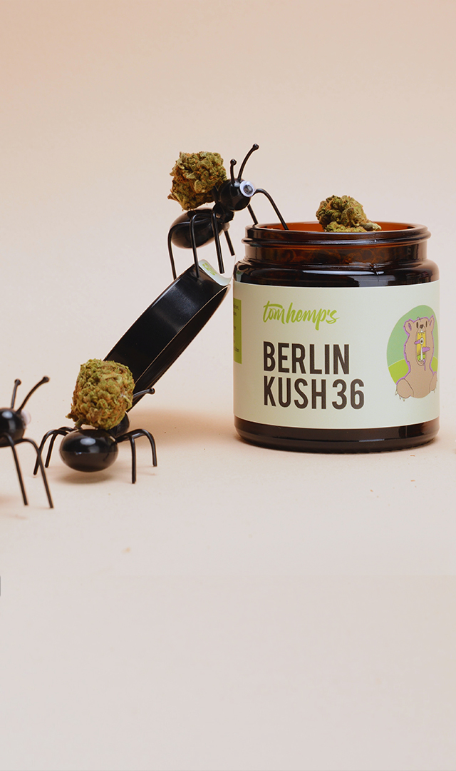 Black Friday CBD