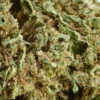 Aroma Flower Tom Hemps Gelato 361 by Tom Hemp’s CBD Shop Berlin