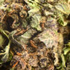 Aroma Flower Tom Hemps Girl Scout Cookie by Tom Hemp’s CBD Shop Berlin