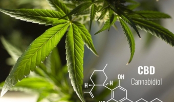 Cannabidiol