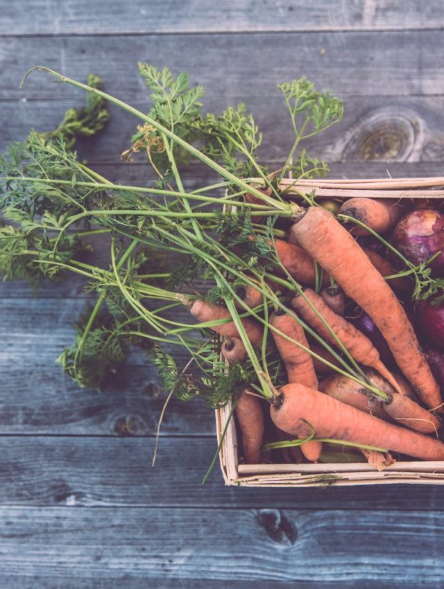 Mit CBD das Immunsystem stärken