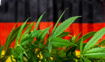 Deutschland Auf Dem Weg Zur Cannabis Legalisierung