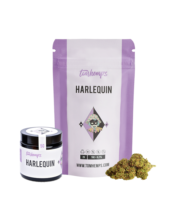 -20% Flor de CBD Harlequin x Cheese
