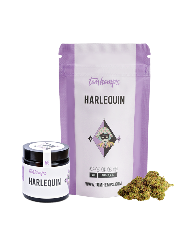 Flores De CBD Harlequin X Cheese