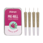 CBD Pre-Roll 4er Pack / Purple Berry