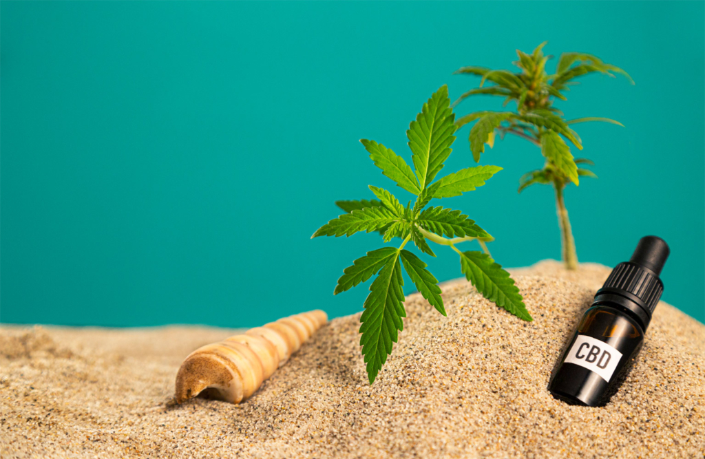 A Summer Symphony Starring CBD | TomHemp's