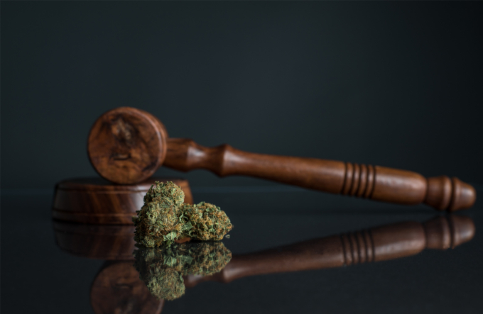 LEGALIZE NOW IS NOW – BUNDESKABINETT STIMMT GESETZ ZUR LEGALISIERUNG VON CANNABIS ZU