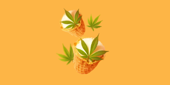CANNABIS LEGALISIERUNG PUT ON ICE