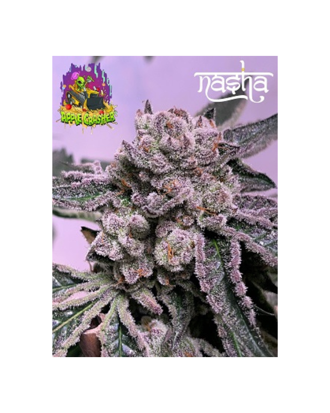 Applecrasherstrain