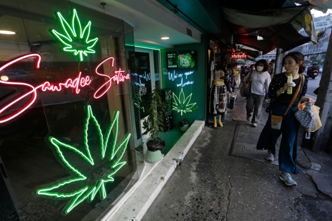THAILAND MACHT CANNABIS LEGALISIERUNG RÜCKGÄNGIG