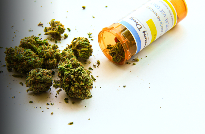 CANNABIS IM WANDEL: ZWISCHEN VERSANDVERBOT UND HOMEGROW-FREIHEIT