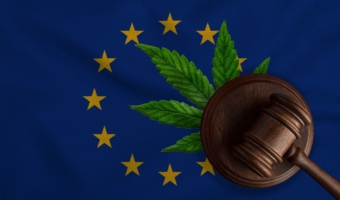 Industrial Hemp Law, CBD law Eu
