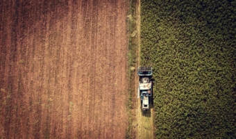 Hemp Law Back In Discussion In Germany