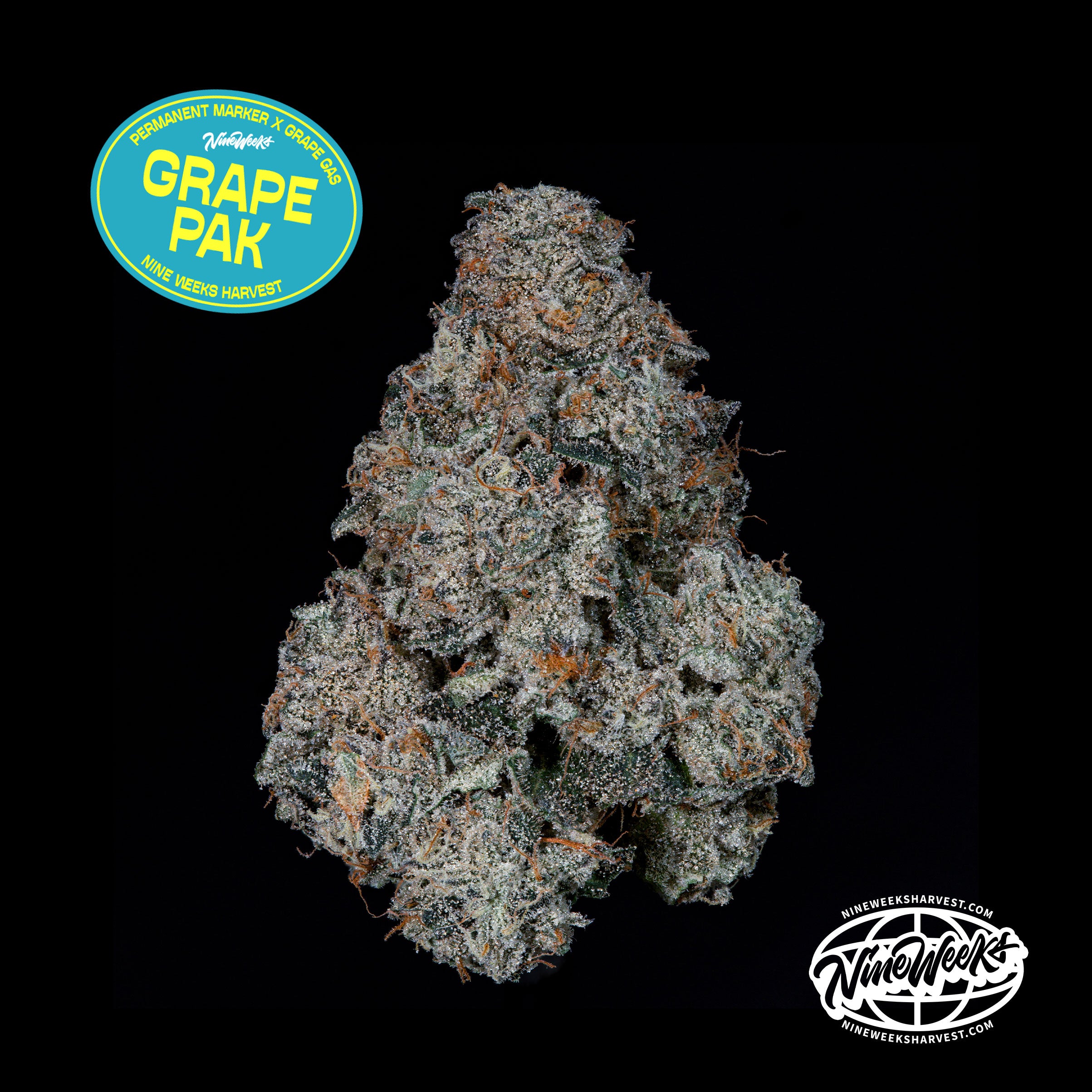 2-LOGOS-NUG-SHOT-GRAPE-PAK-_-PERMANENT-MARKER-X-GRAPE-GAS