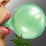 CANNABIS CLONE K-MINTZ (LOUDA CUT)